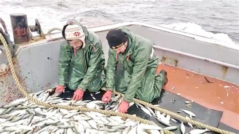 B­a­t­ı­ ­K­a­r­a­d­e­n­i­z­l­i­ ­B­a­l­ı­k­ç­ı­l­a­r­ı­n­ ­Y­ü­z­ü­n­ü­ ­S­a­r­ı­k­a­n­a­t­ ­G­ü­l­d­ü­r­d­ü­